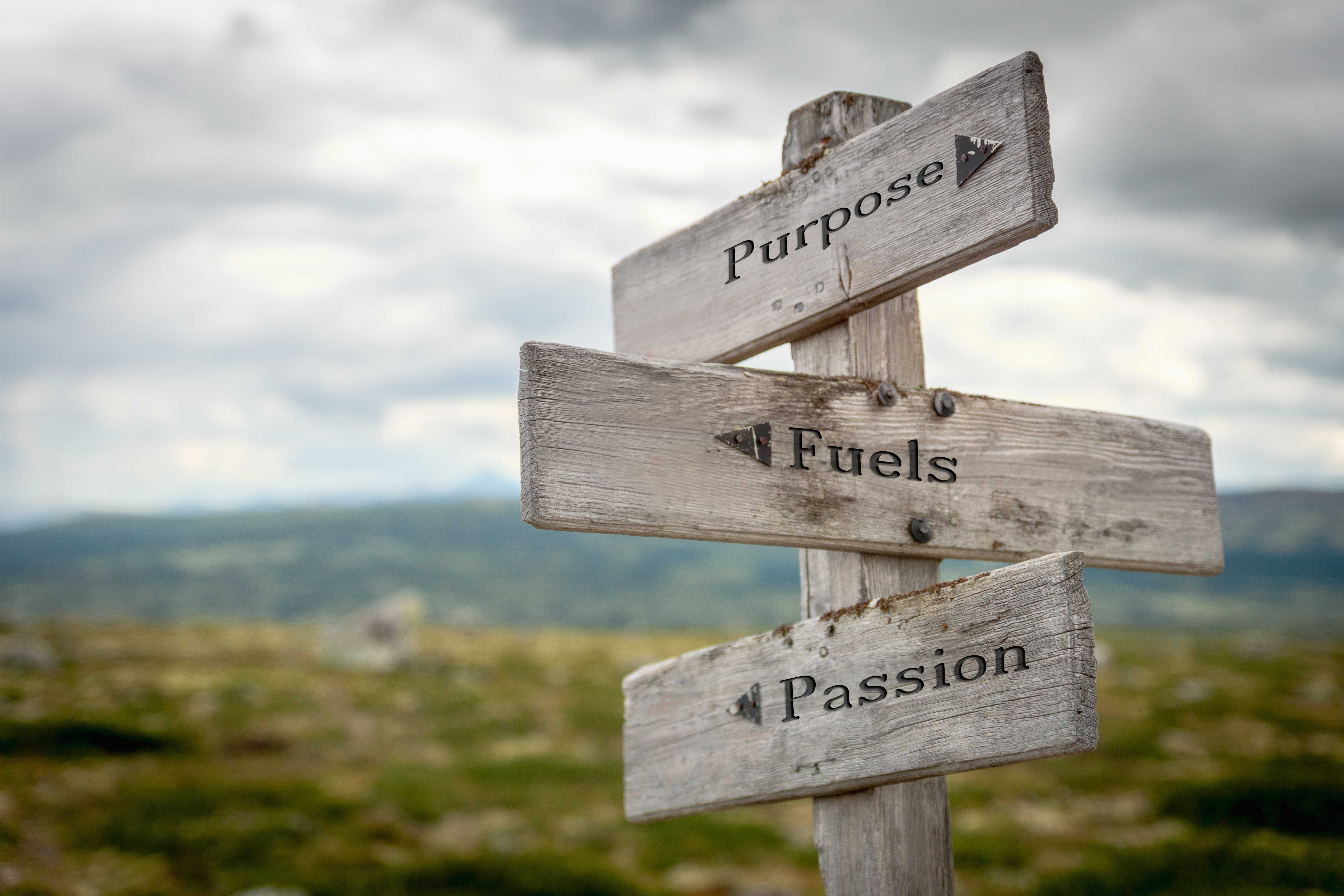 Purpose Fuels Passion and Performance