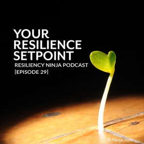 029: Your Resilience Setpoint