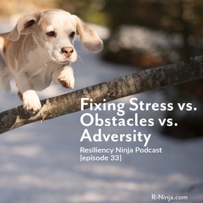 033: Fixing Stress, Obstacles and Adversity