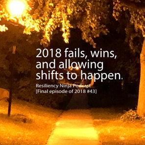 043: 2018 Fails, Wins and Allowing Shifts to Happen