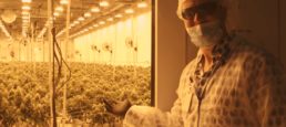 CannTrust Holdings Inc (TSE:TRST) Highly Efficient Growing Operation (Site Tour)