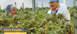 Supreme Cannabis Company Inc 7 Acres Cannabis Grow Operation in Kincardine, Ontario (Site Tour)