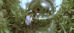 Newstrike Brands Ltd (CVE:HIP) Site Tour: Up Cannabis Cultivation Rocks Out in the Free World!