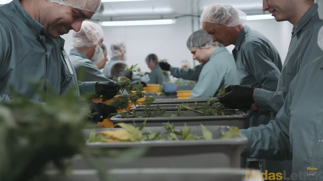 Organigram Holdings Shows Off Major Moncton Operation (Site Tour)