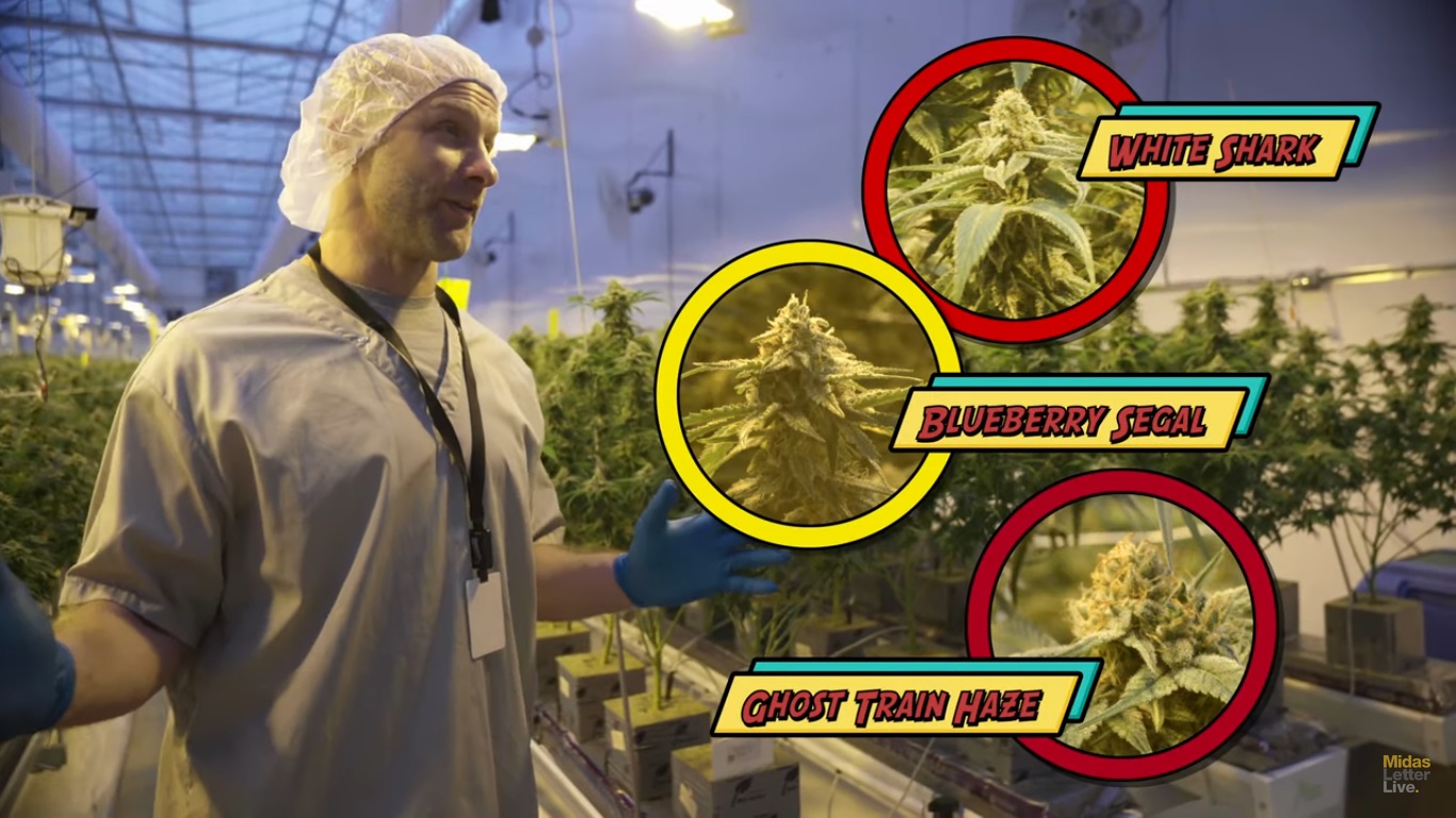 WeedMD Site Tour: WAY Bigger Than You Thought